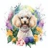 gardenofpoodles